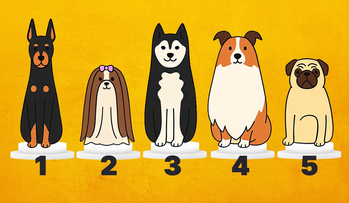 Ваш выбор раскроет тайны подсознания / изображение УНИАН Ваш выбор раскроет тайны подсознания / изображение УНИАН