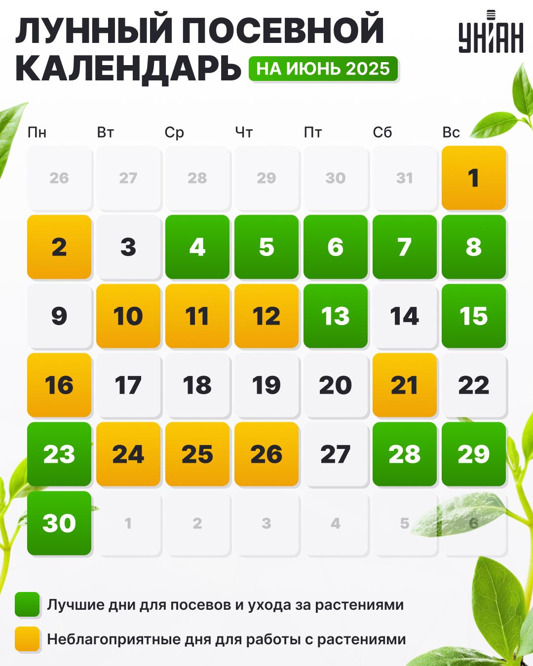 Посевной календарь на июнь 2025 года таблица / картинка УНИАН Посевной календарь на июнь 2025 года таблица / картинка УНИАН