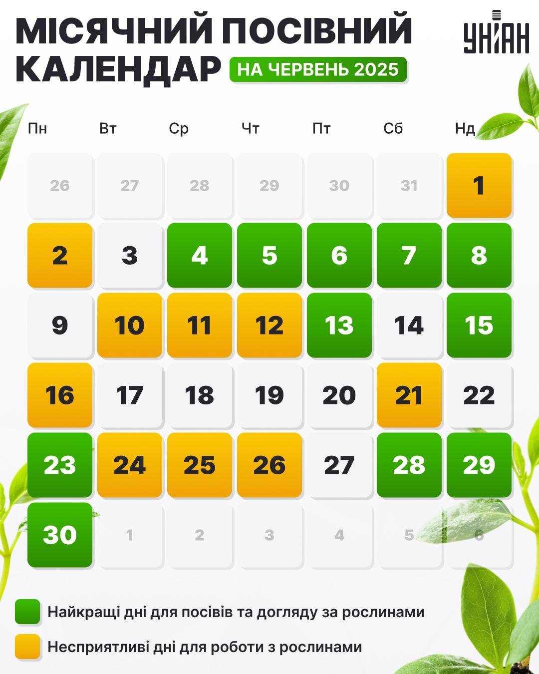 Посівний календар на червень 2025 року таблиця / картинка УНІАН Посівний календар на червень 2025 року таблиця / картинка УНІАН