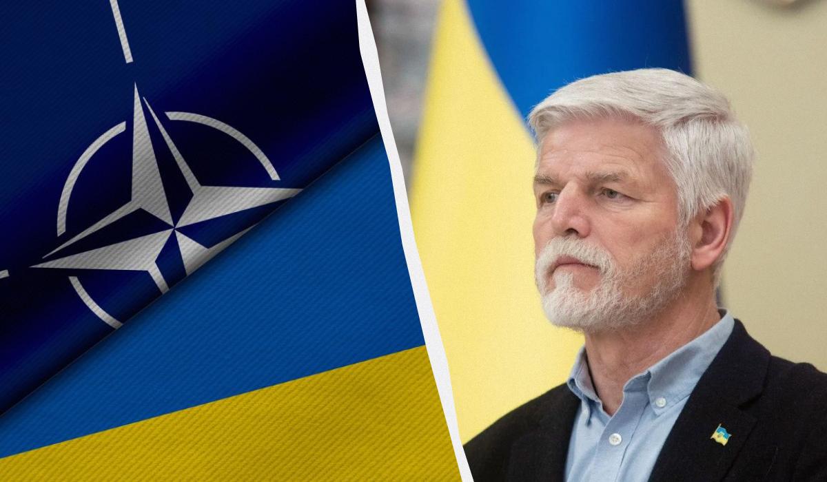 Paul explained why Ukraine should not count on NATO / UNIAN's collage, UNIAN photo, ua.depositphotos.com photos Paul explained why Ukraine should not count on NATO / UNIAN's collage, UNIAN photo, ua.depositphotos.com photos