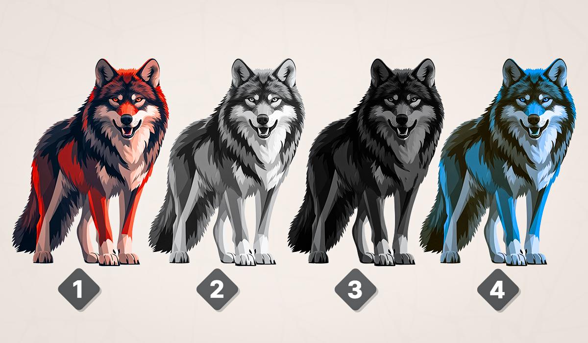 Проходьте тест на риси характеру з вибором вовка / колаж УНІАН