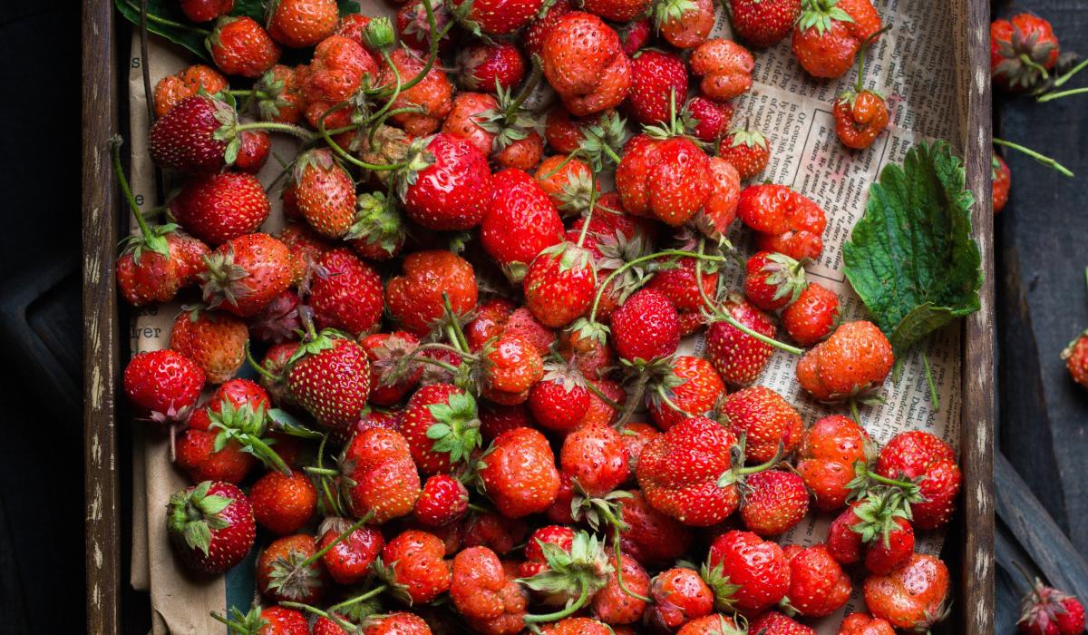 Експерт зазначив, що головними причинами ситуації, що склалася, стали погодні умови / фото freepik.com Експерт зазначив, що головними причинами ситуації, що склалася, стали погодні умови / фото freepik.com