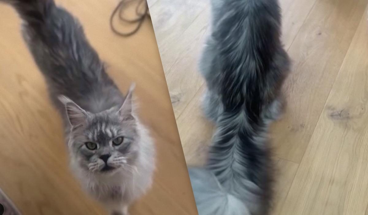 Порно фильм: Strong Fuck