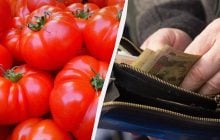 Цены на помидоры в Украине стремительно летят вниз: какой прогноз дают специалисты