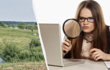 У вас очі яструба, якщо можете знайти собаку в полі за 9 секунд: підступна оптична ілюзія