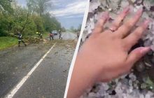 Вырваны деревья и град: Прикарпатье накрыла непогода (фото и видео)