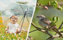 Какие три важных запрета нужно знать: интересные факты про праздник 6 мая 2025