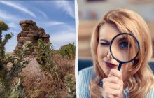 Только уникум найдет милую птичку за 7 секунд: удивительно сложная головоломка