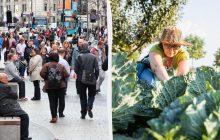 Ученые нашли способ прокормить 136 миллиардов человек: их открытие может стать революцией