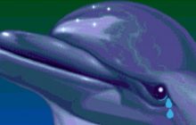 Автор психоделической игры про дельфина Ecco the Dolphin запустил таймер до ремастера