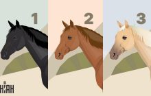 Якого коня обираєте - таке майбутнє собі будуєте: швидкий психологічний тест