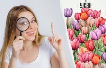 Усі бачать тюльпани, і тільки унікум знайде годинник за 8 секунд в оптичній ілюзії