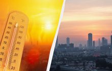 Огромный город с постоянной жарой +45° настолько невыносим, ​​что птицы падают с неба