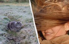 Во Львове на четыре дня ввели повышенный уровень опасности: что произошло (инфографика)