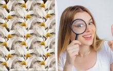 Чи знайдете ви півня серед гордих орлів за 12 секунд: дивовижна оптична ілюзія