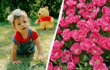 3 заборони, які не можна порушувати: народні звичаї на свято 13 травня 2025