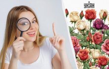 Тільки 5% людей можуть знайти цукерку в трояндах за 11 секунд у чарівній оптичній ілюзії