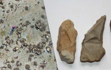 Таємничі кам'яні кола у Шотландії розкривають, як саме древні люди з'явилися у Європі