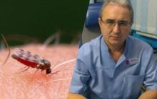 Врач объяснил, почему укусы мошек очень опасны