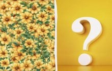Усі бачать квіти, а треба знайти банан: хитра оптична ілюзія на 7 секунд
