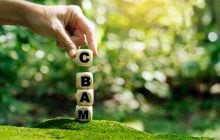 CBAM доб'є українську економіку та не допоможе довкіллю, – Циганок