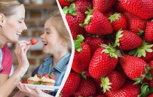Коли краще купувати полуницю та скільки можна з’їсти за сезон: користь та шкода ягоди
