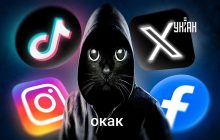 Что значит мем О как: откуда взялся кот в капюшоне и как использовать картинку