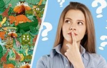 Только 2 из 100 людей могут найти черепаху за 6 секунд: коварная головоломка