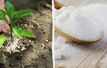 Европарламент принял новые пошлины на продукты питания и удобрения из России, - DW