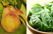 Складено ТОП-7 продуктів із великим вмістом клітковини: що додати в тарілку