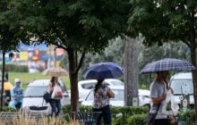 Сегодня почти всю Украину зальют дожди с грозами (карта)