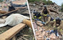 В Житомирской области в результате атаки РФ погибли трое детей (фото)