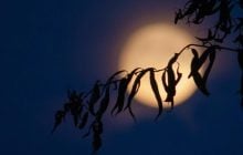Затаиться и переждать: последний сложный день мая по лунному календарю