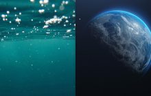 Ученый рассказал, как 445 миллионов лет назад были уничтожены 85% всех живых существ