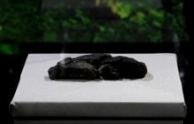 Ученые воссоздали рецепт приготовления хлеба, который пекли 5000 лет назад
