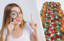 Не каждый найдет расческу в куче потерянных вещей за 8 секунд: удивительно сложная головоломка