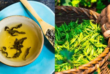 Садоводы советуют немедленно начать использовать зеленый чай для удобрения