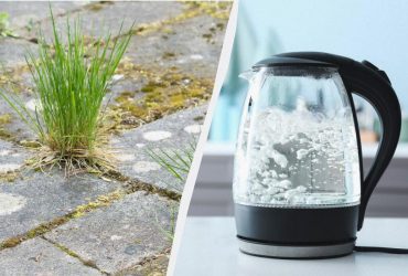 Жоден бур'ян не проскочить між плиткою: потрібно полити безкоштовним засобом