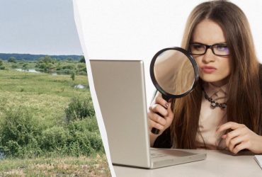 У вас глаза ястреба, если можете найти собаку в поле за 9 секунд: коварная оптическая иллюзия