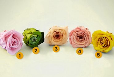 Какую розу вы выберете: психологический тест, как вы справляетесь со стрессом