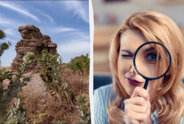 Только уникум найдет милую птичку за 7 секунд: удивительно сложная головоломка