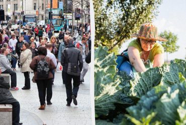 Вчені знайшли спосіб прогодувати 136 мільярдів людей: їхнє відкриття може стати революцією