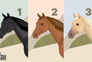 Якого коня обираєте - таке майбутнє собі будуєте: швидкий психологічний тест