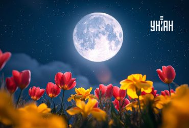 Цветочная Луна уже близко: кому полнолуние в мае принесет шанс, а кому - встряску