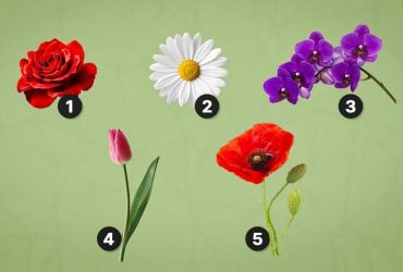 Какой цветок выберут гении: цветочный тест на личностные качества