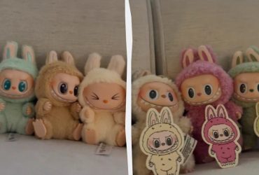 Фурор во всем мире: люди штурмуют магазины ради новой серии игрушек Labubu