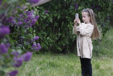 Сегодня в Киеве будет прохладно, но без дождя