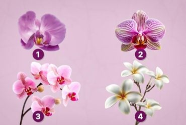 Що приховує ваша душа: тест на особистість за вибором орхідеї