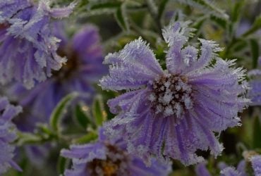 До України мчить сильне похолодання: температура впаде до "мінусів"