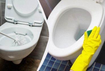 Як відмити сидіння унітазу до блиску: знадобиться простий засіб із кухні